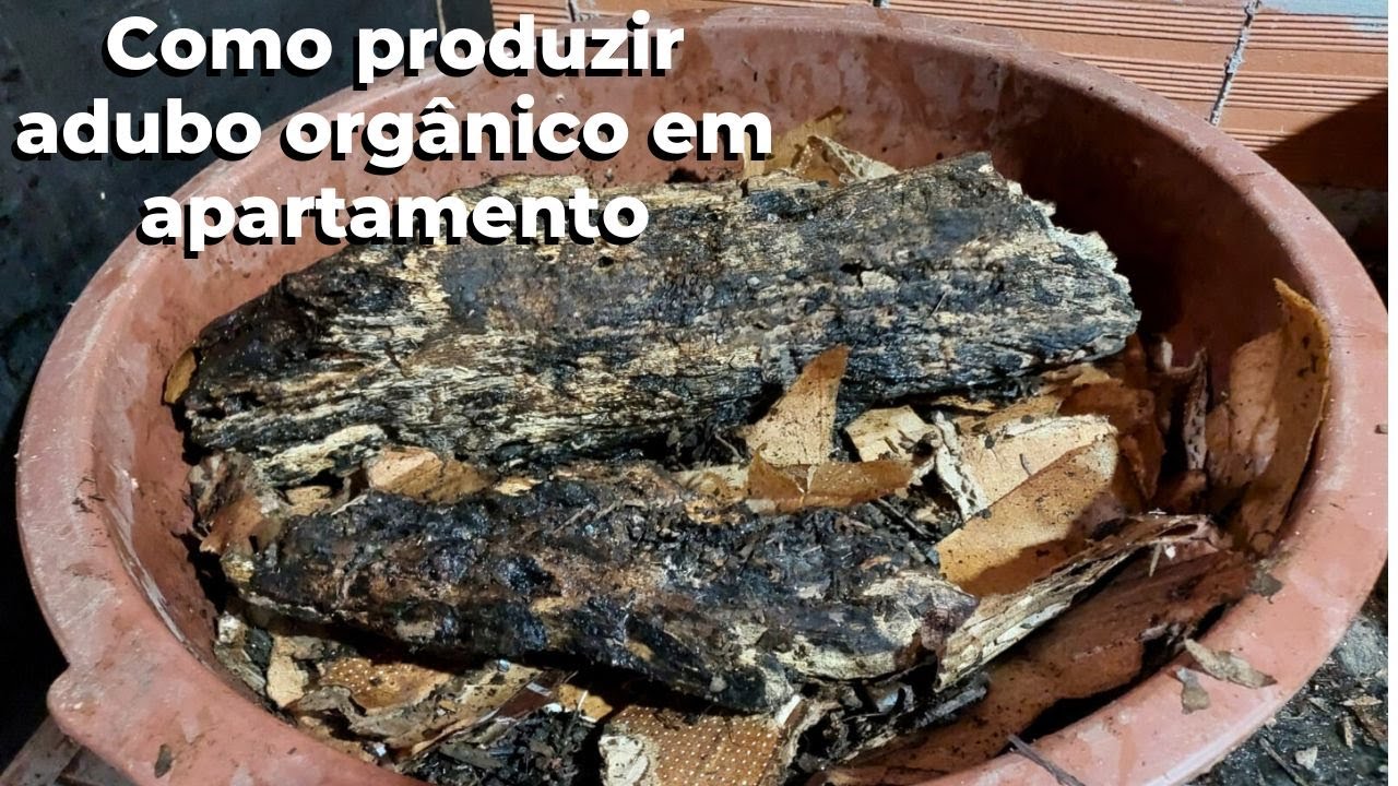 Como produzir adubo orgânico em apartamento (gongocompostagem)
