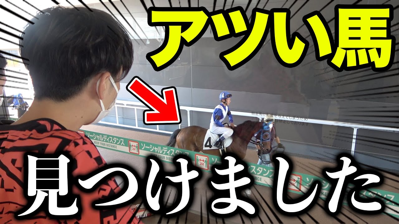【的中！！】初挑戦の競馬場で苦戦していたら、最後の最後に逆転勝利しましたwww
