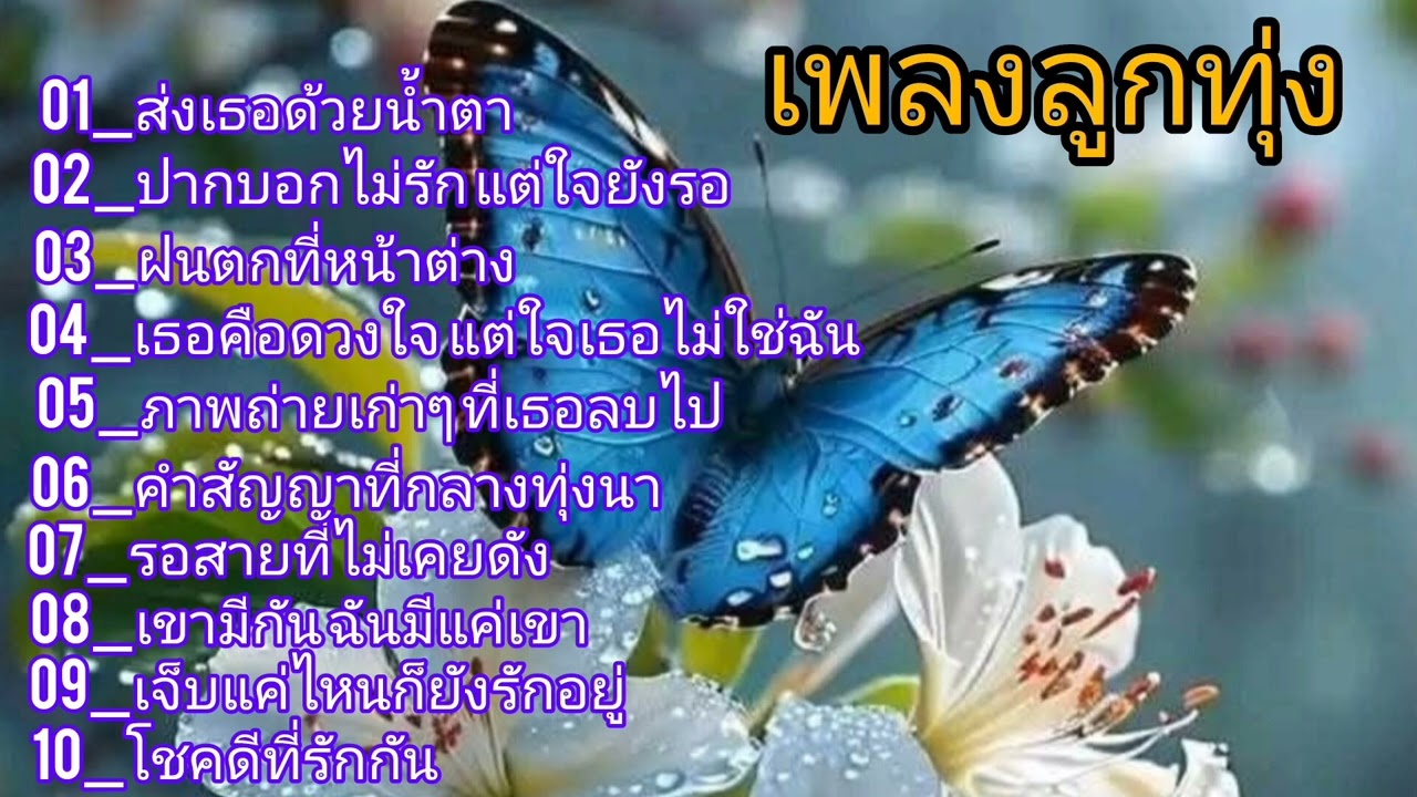 ฝนตกที่หน้าต่าง