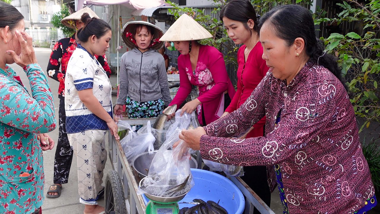 Tát Bờ Bao Có Nhiều Cá Hai Chị Em Đẩy Xe Cá Lóc Đồng Bán được Bà Con Xúm Lại Mua Thấy Ham | HQ #1767