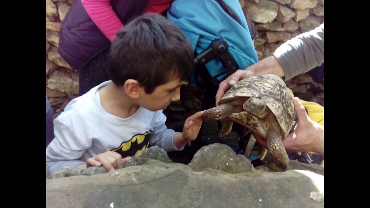 ZOO CASTELLAR 2018