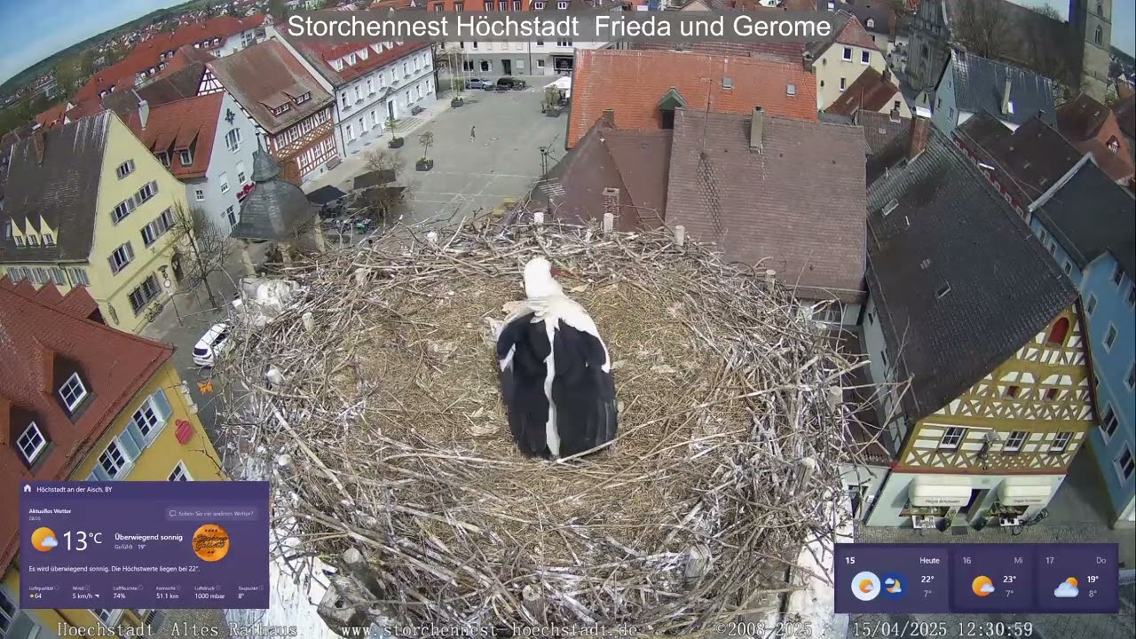 2025 04 15 Storchennest Höchstadt, Sonnenschein und dann Regen mit Gewitter