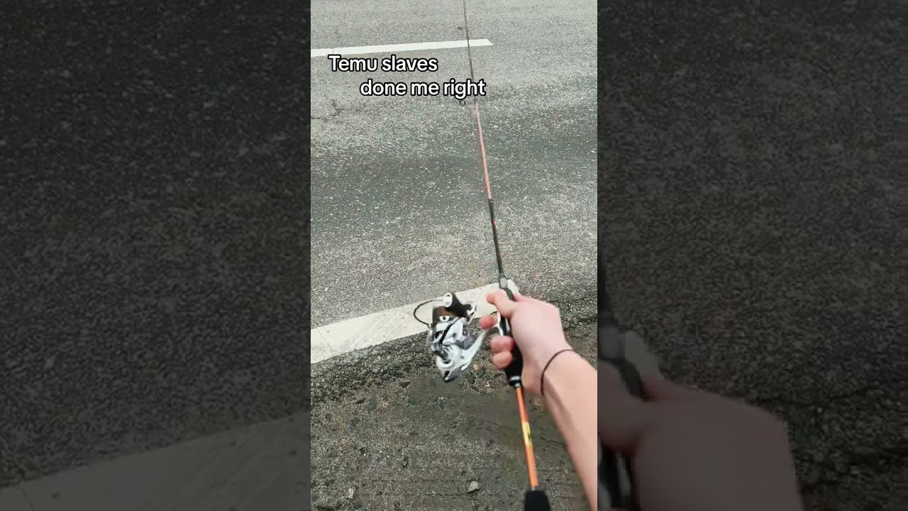 Best temu ultralight rod 🎣🔥 #fish #fishing #pike #temu #temufinds