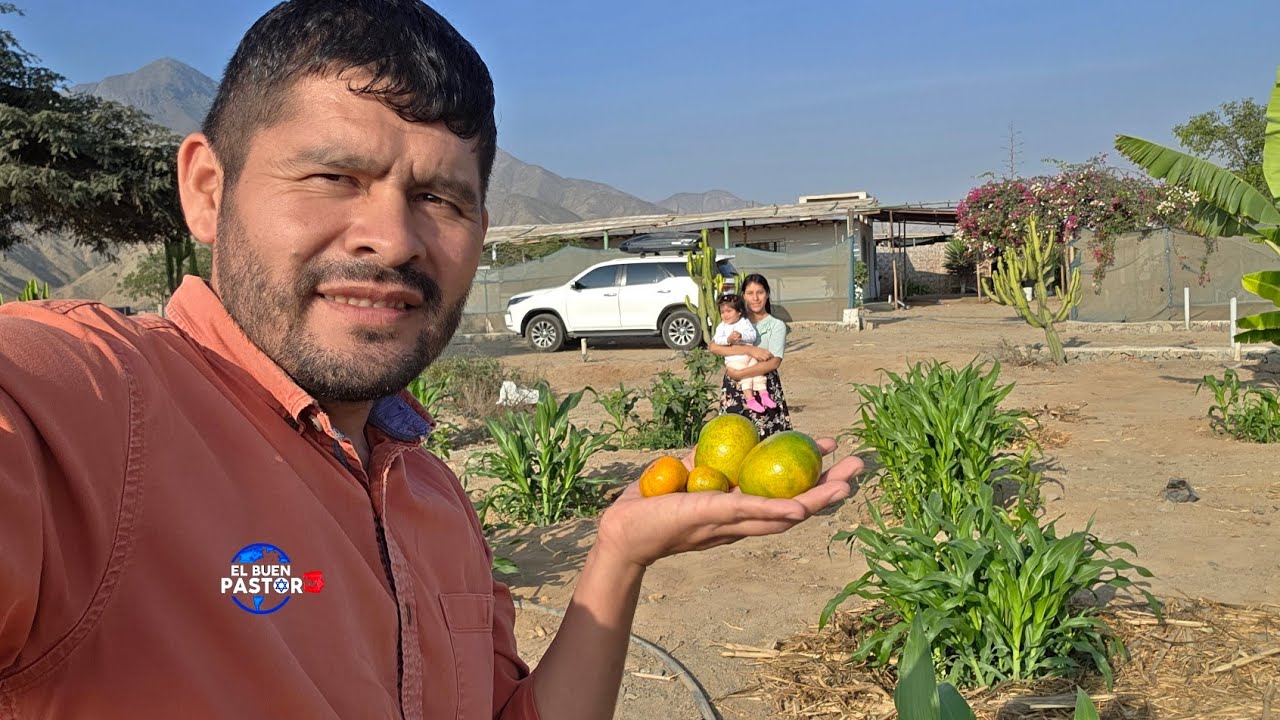 DIERON FRUTOS EN UN MES Y MEDIO Y USTED CUANDO 🌴🍊🍓🥑🍋🍏👶😀🌏🌎🌍🇮🇱🔥