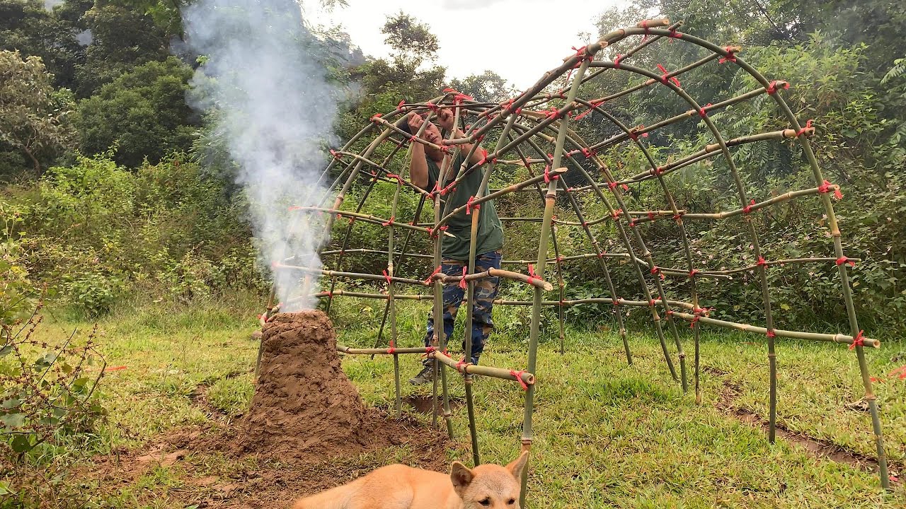 Build a survival shelter using trees and palm leaves in the wilderness