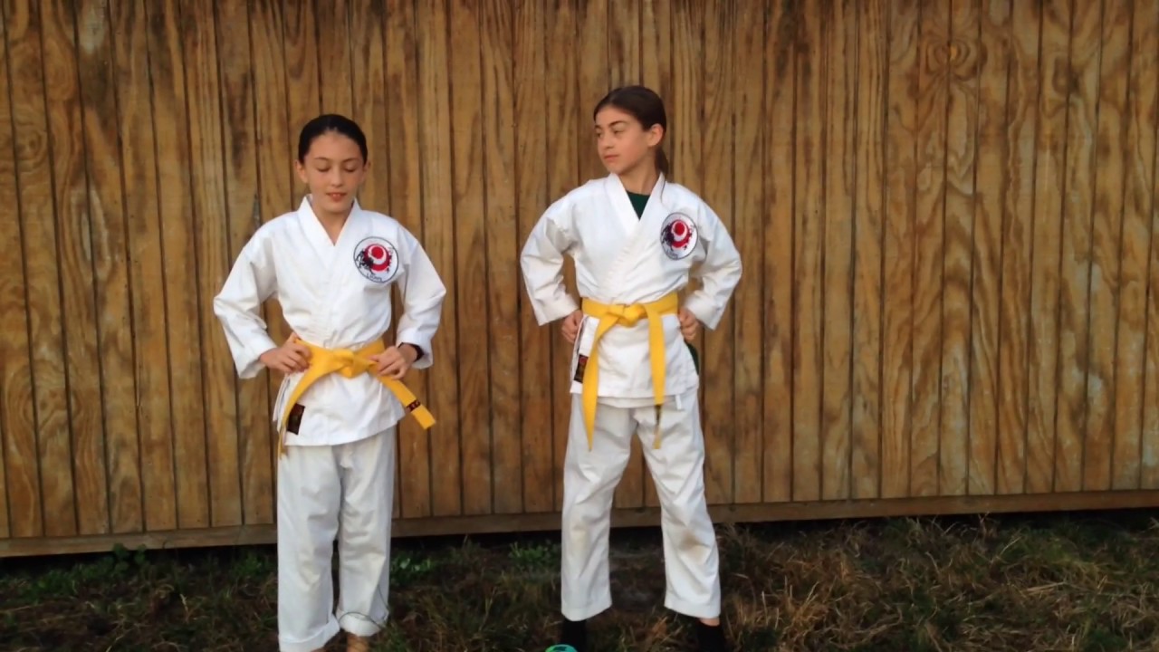 Karate 101