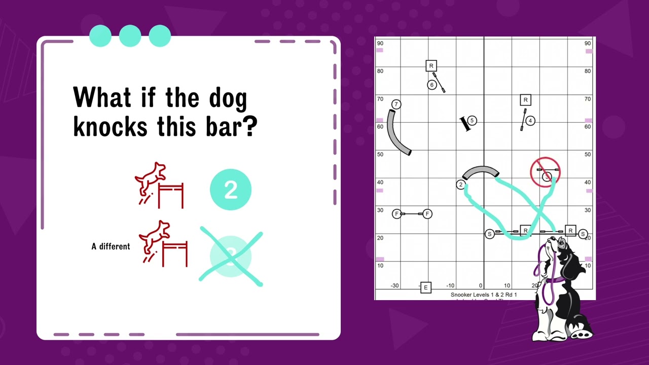 How to Run Snooker (and what to do when it all falls apart) - Dog Agility Basics - CPE UKI USDAA