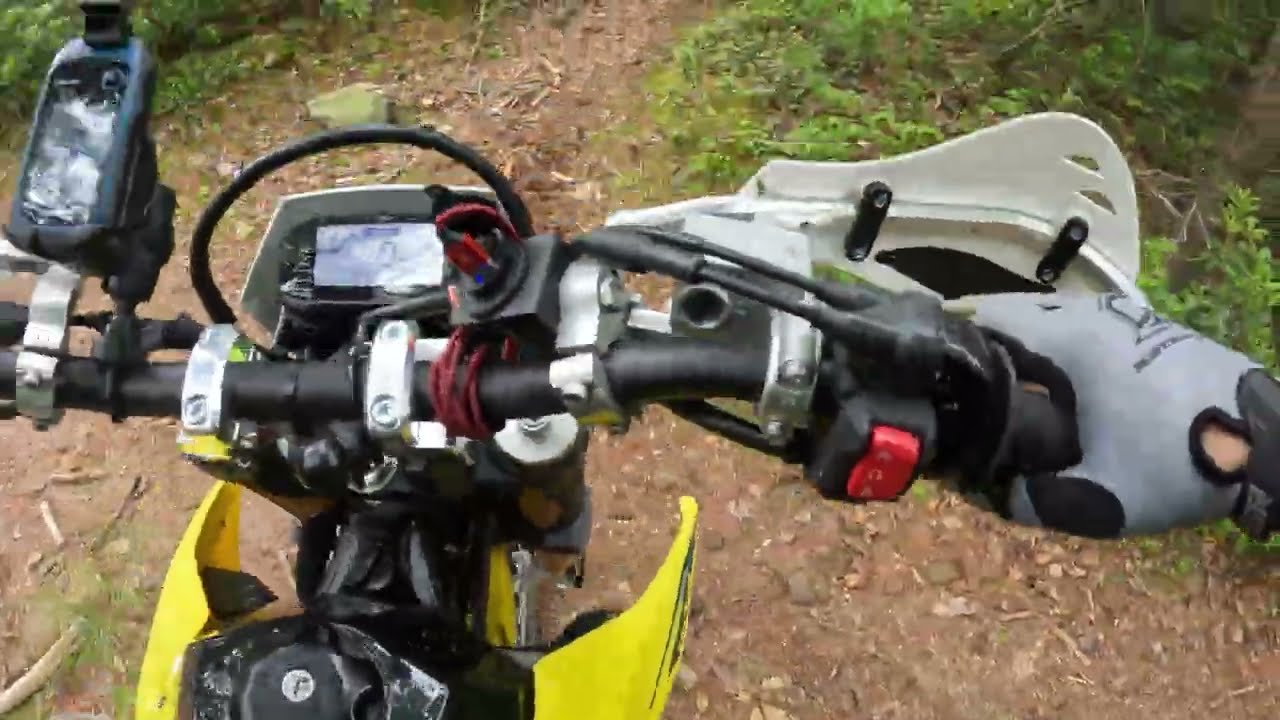 '25 DR-Z4s on  gnarly Sand Mtn. Bald Eagle  single track