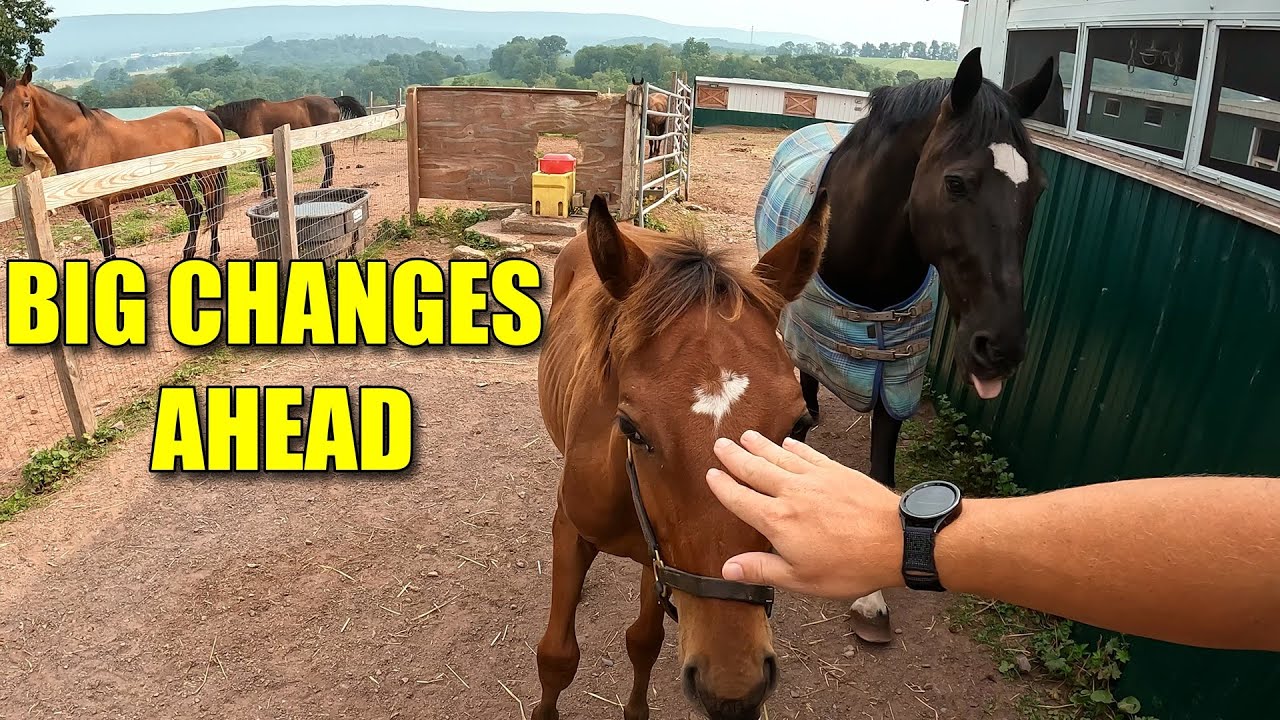 BIG CHANGES AHEAD FOR OUR BABY HORSE