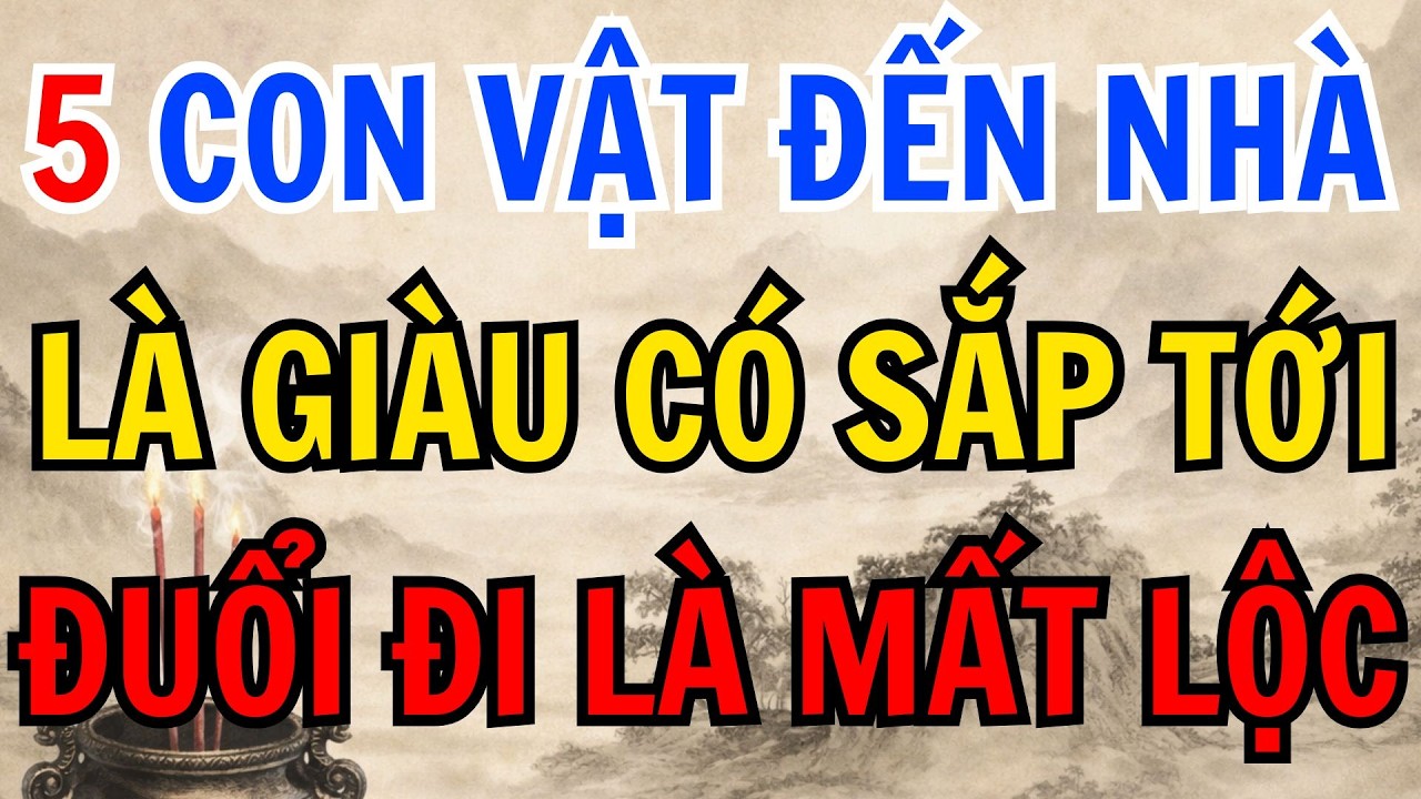 5 CON VẬT NÀY TÌM ĐẾN NHÀ LÀ ĐIỀM BÁO. GIA CHỦ GẮP GIÀU CÓ, ĐUỔI ĐI LÀ MẤT LỘC - lời phật dạy