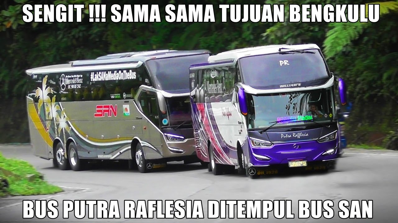Sengit, Detik Detik Bus Putra Raflesia Ditempel Ketat Bus SAN di Sitinjau Lauik