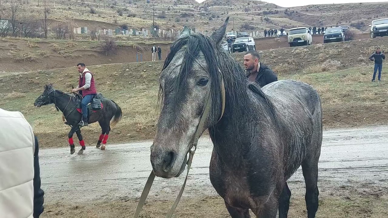 At yarışı 1