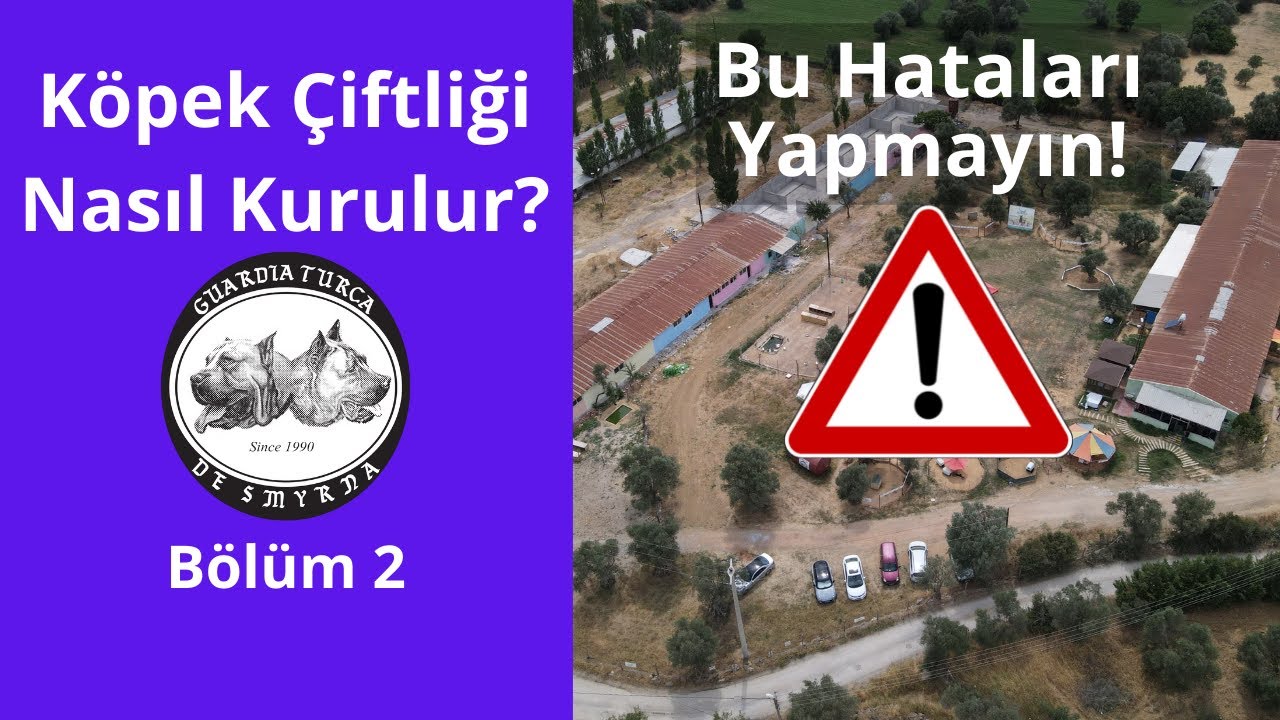 Köpek Çiftliği Nasıl Kurulur Bölüm 2 - Sık Yapılan Hatalar