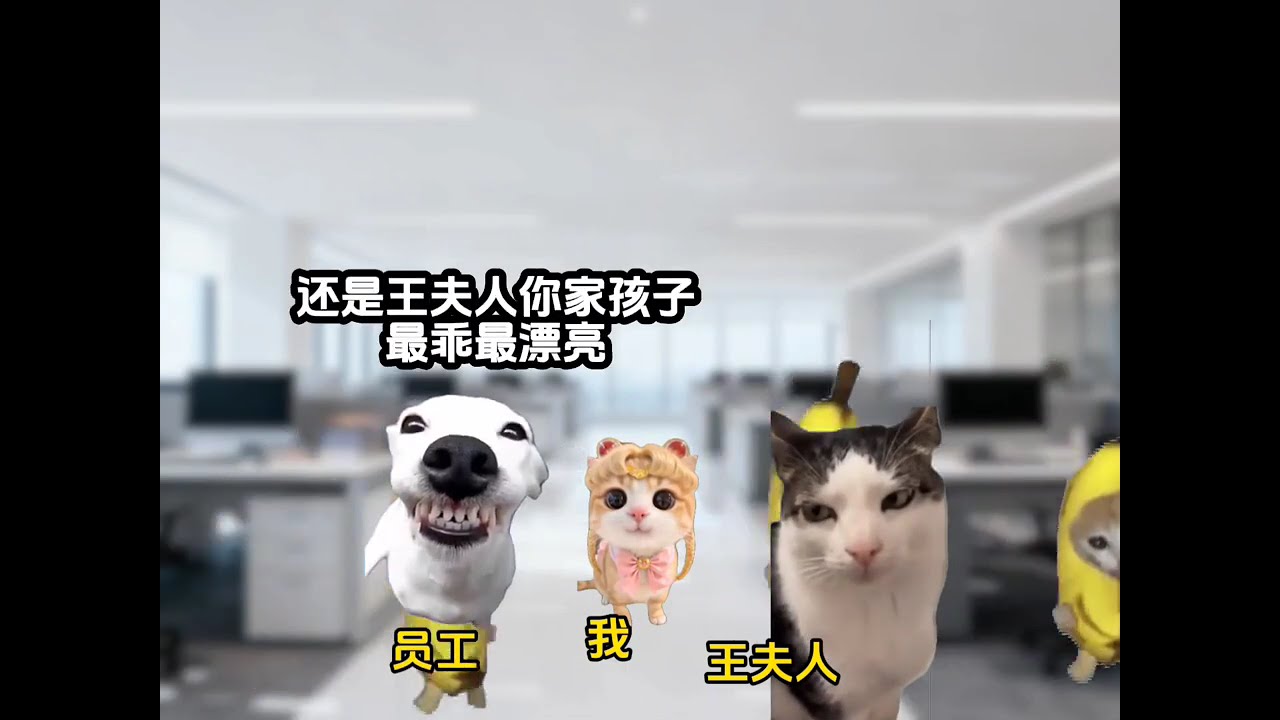 我的反派父亲是个女儿奴 #猫meme #猫meme小剧场 #猫meme剧场 #搞笑