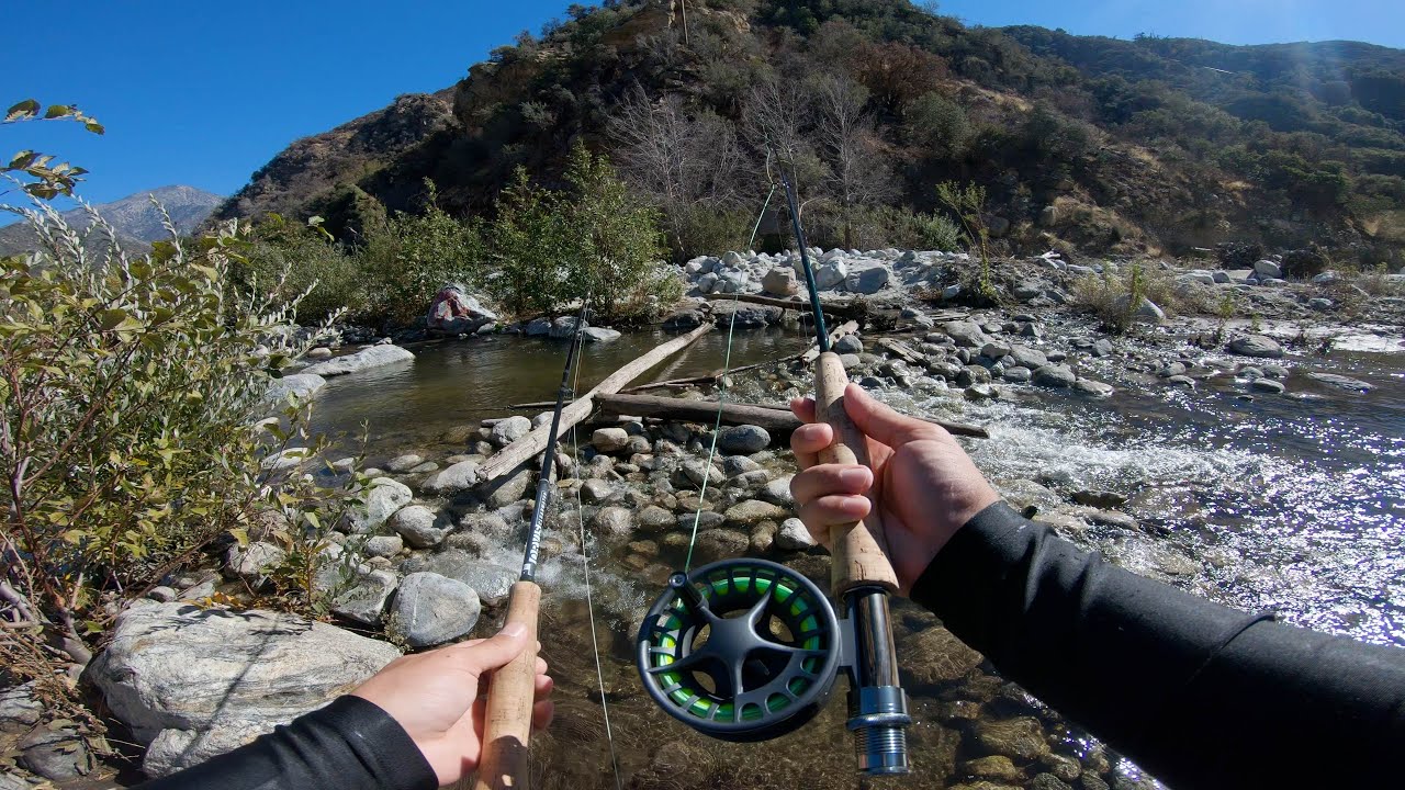 A day fly fishing at a local stream
