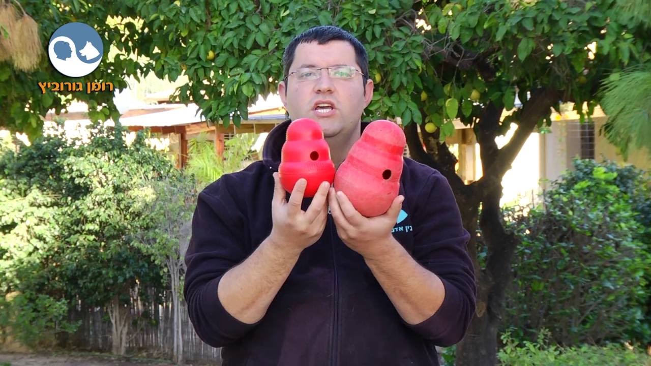 אילוף כלבים קונג וובלר Kong Wobbler