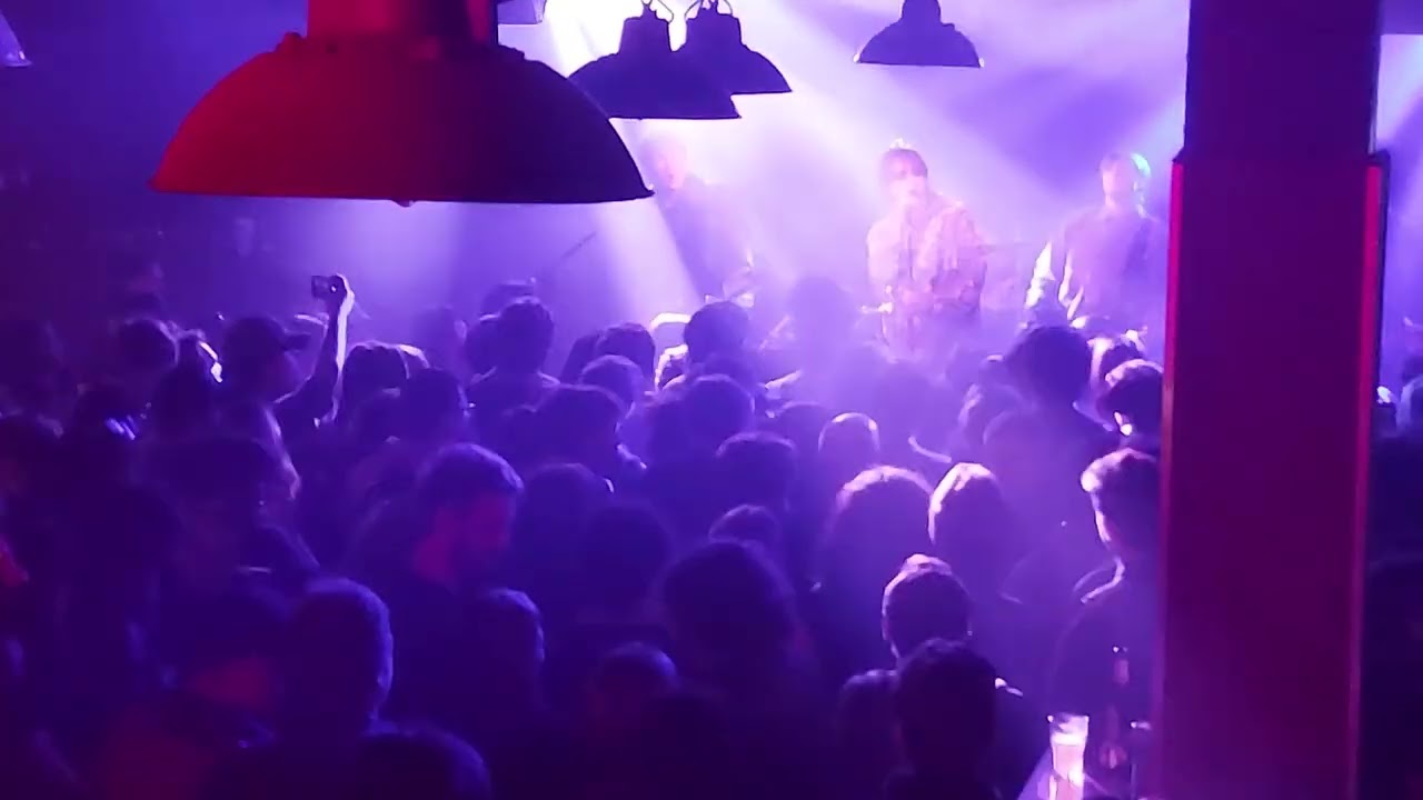 Pack of Animals. 'Ballerina' Bristol Lanes 13th March