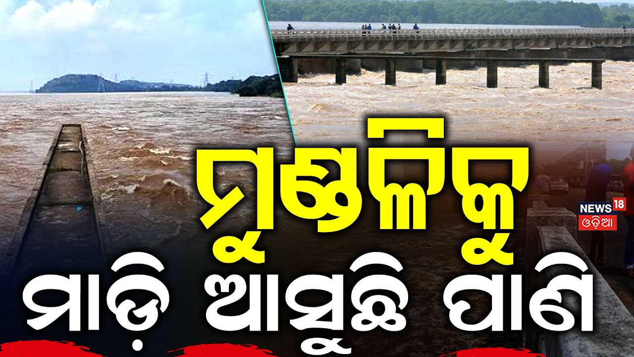 ମହାନଦୀରେ ଭୟଙ୍କର ବନ୍ୟା! Odisha Flood Alert: Mahanadi Swells, Villages Underwater | Hirakud Dam