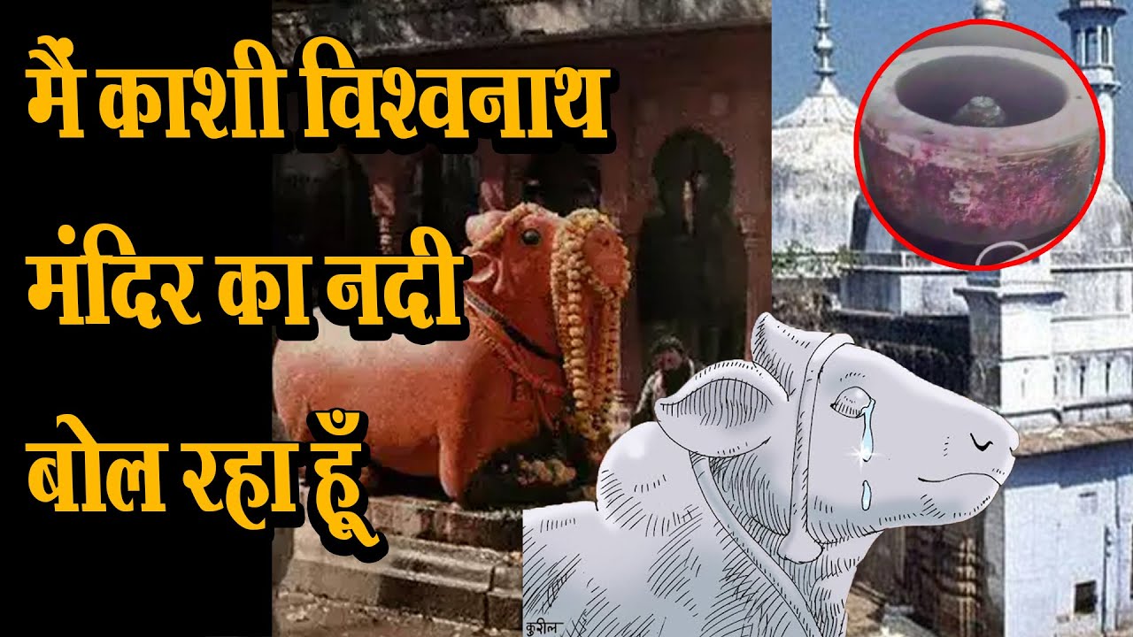 मैं काशी विश्वनाथ मंदिर में मौजूद नंदी बोल रहा हूँ | #gyanvapi #kashi  #kashivishwanath
