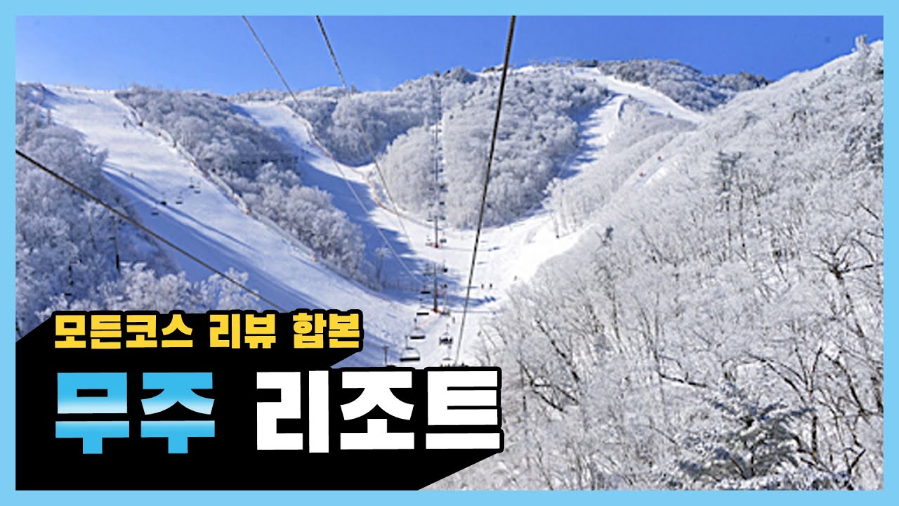 [코스리뷰] 무주