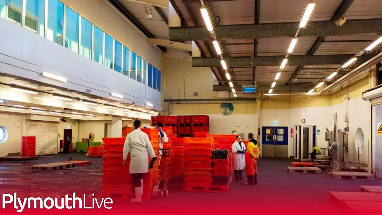 Plymouth fishing community will 'battle on' despite auction closure
