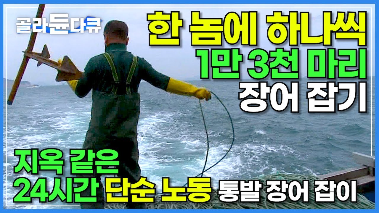 밑도 끝도 없이 쭉 늘어진 100km 통발 13,000개 미끼 하나씩 채워 바다에 투망!┃지옥 같은 24시간 단순노동 끝 가득 찬 만선의 기쁨┃통발 장어 잡이┃극한직업┃#골라듄다큐