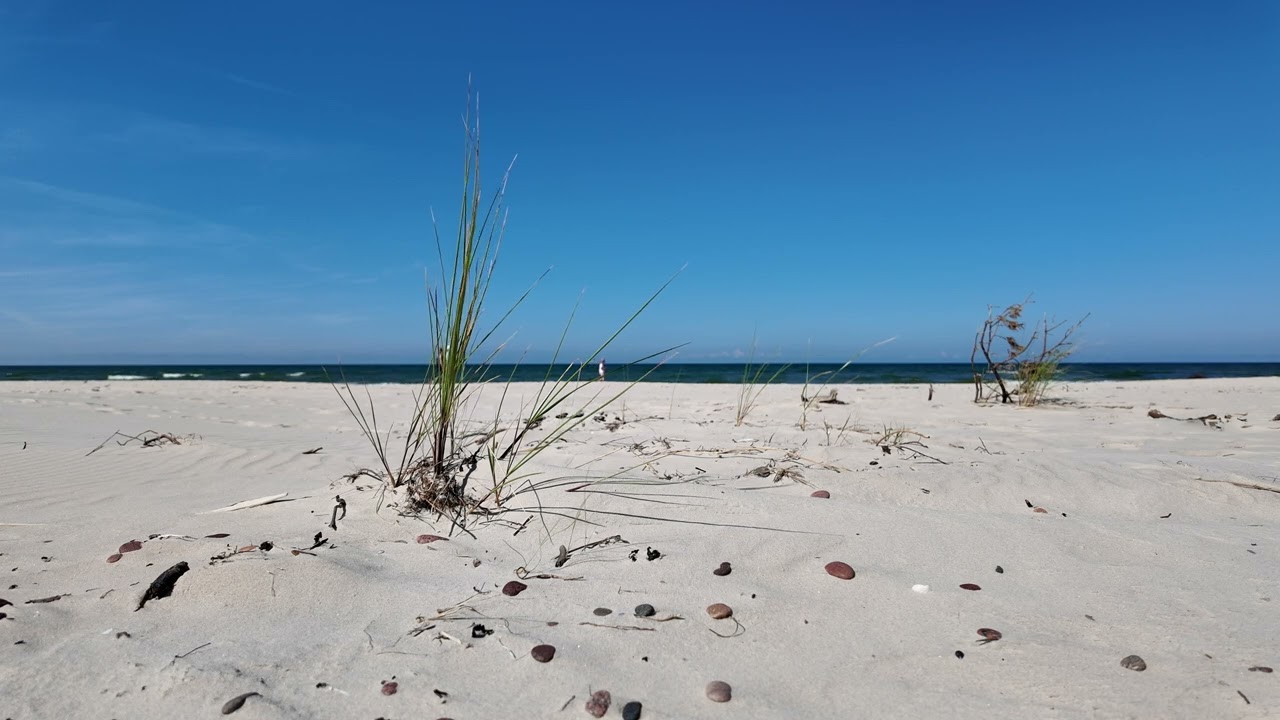 Plaża w Łebie | Relaxing video of Łeba Beach, August 2024