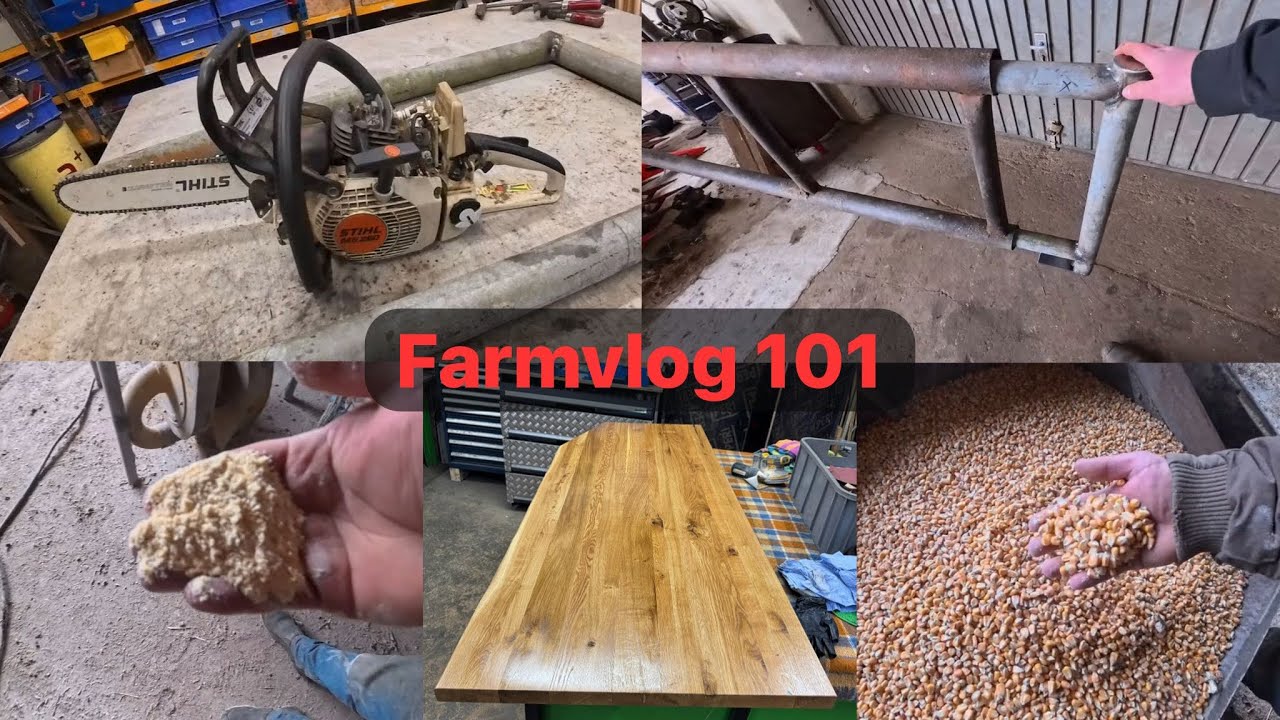 Farmvlog#101 🌽Körnermais/ Futtermischung/ Gatter/ Schreibtischplatte/ Motorsage