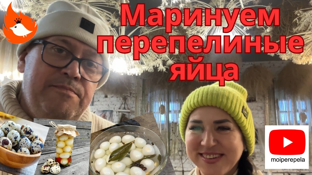 Маринуем перепелиные яйца. Классический рецепт от МОИ perepela