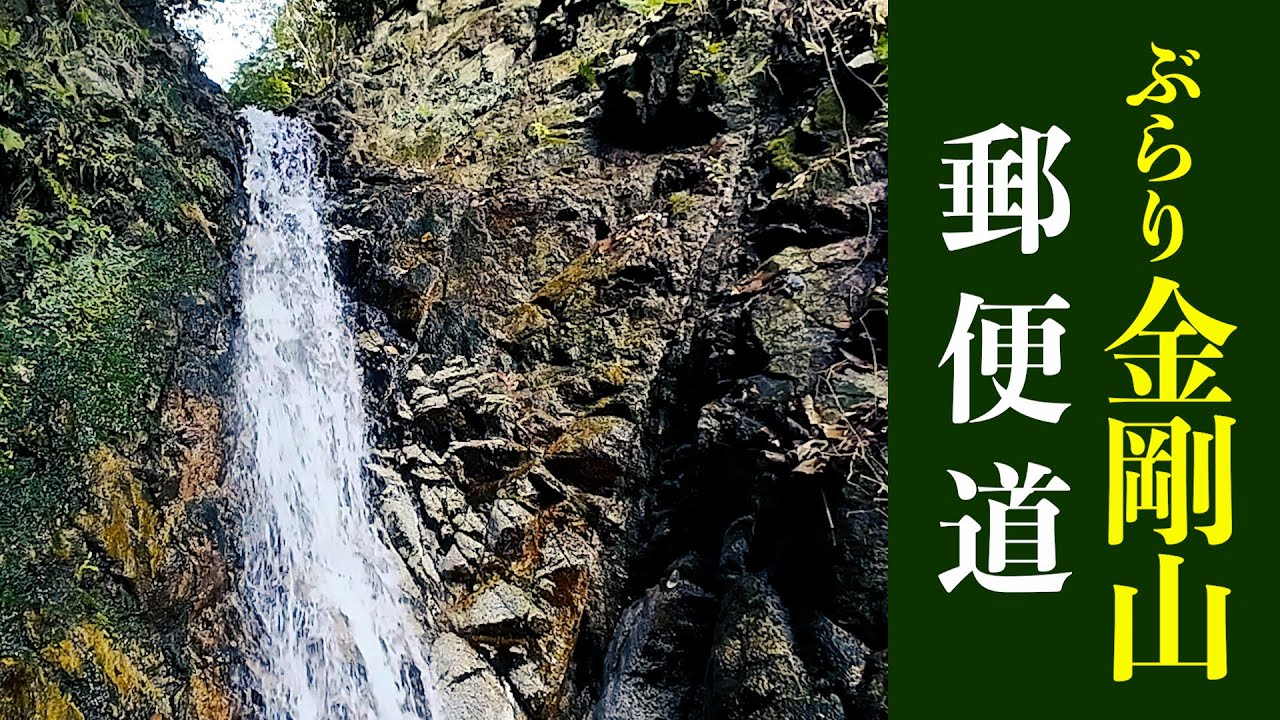 【金剛山】高天道（郵便道）で登りました！（2026年1月）