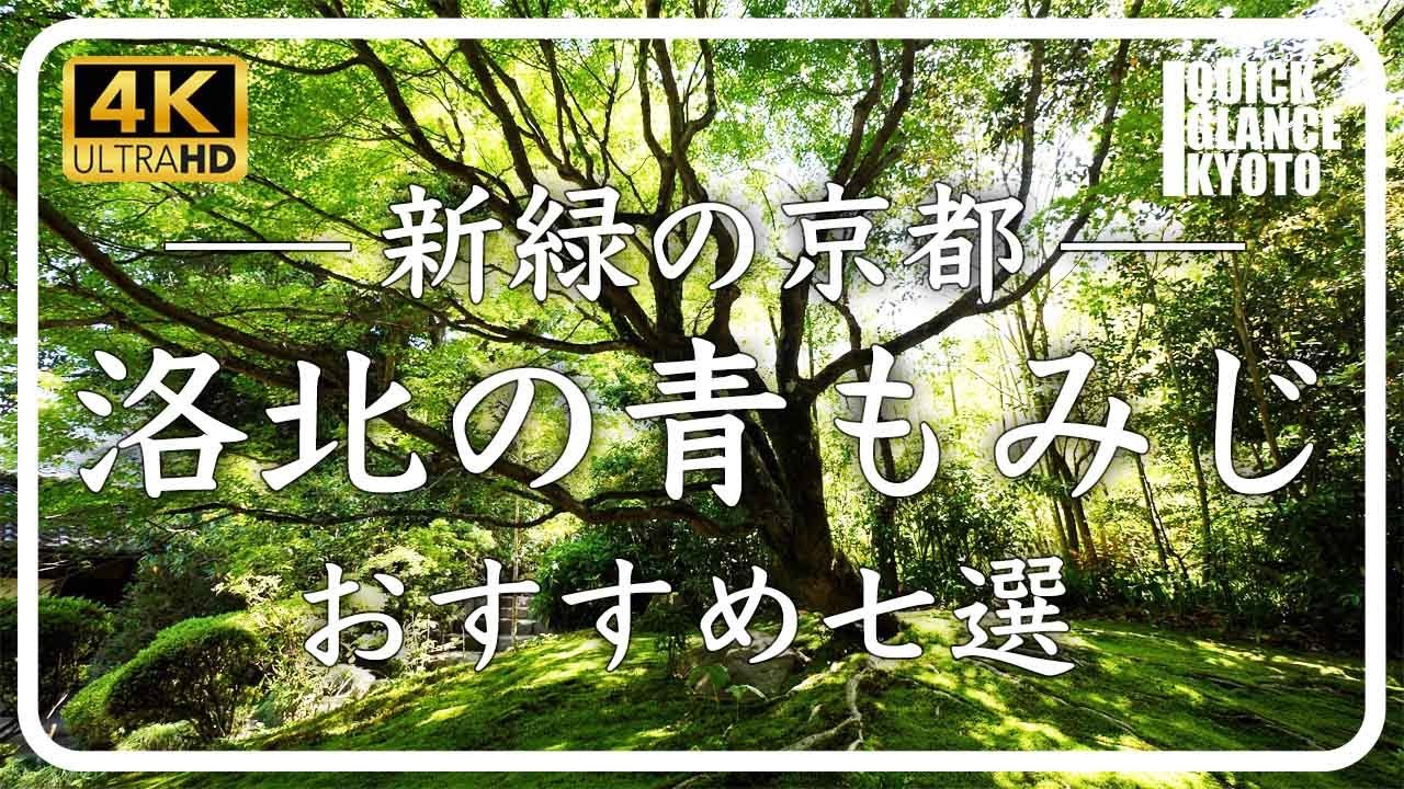 洛北 おすすめ 【京都 青もみじ】名刹・古刹が点在する京都洛北。詩仙堂、曼殊院門跡、修学院離宮など７箇所の青もみじをご覧ください [No.344]