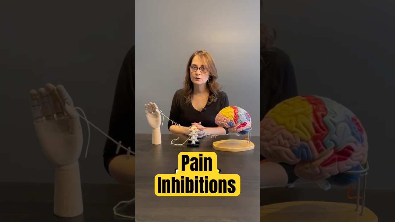 How Your Brain Stops Pain Signals Fast!