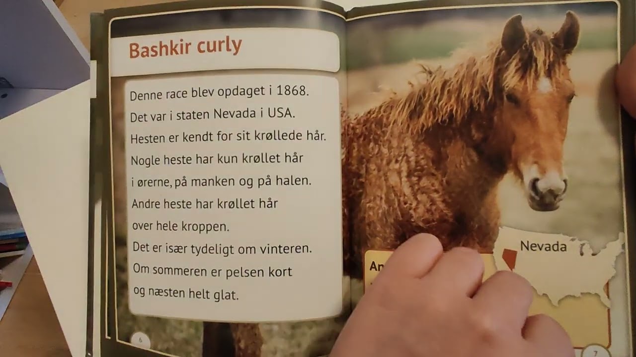 Sjældne heste 