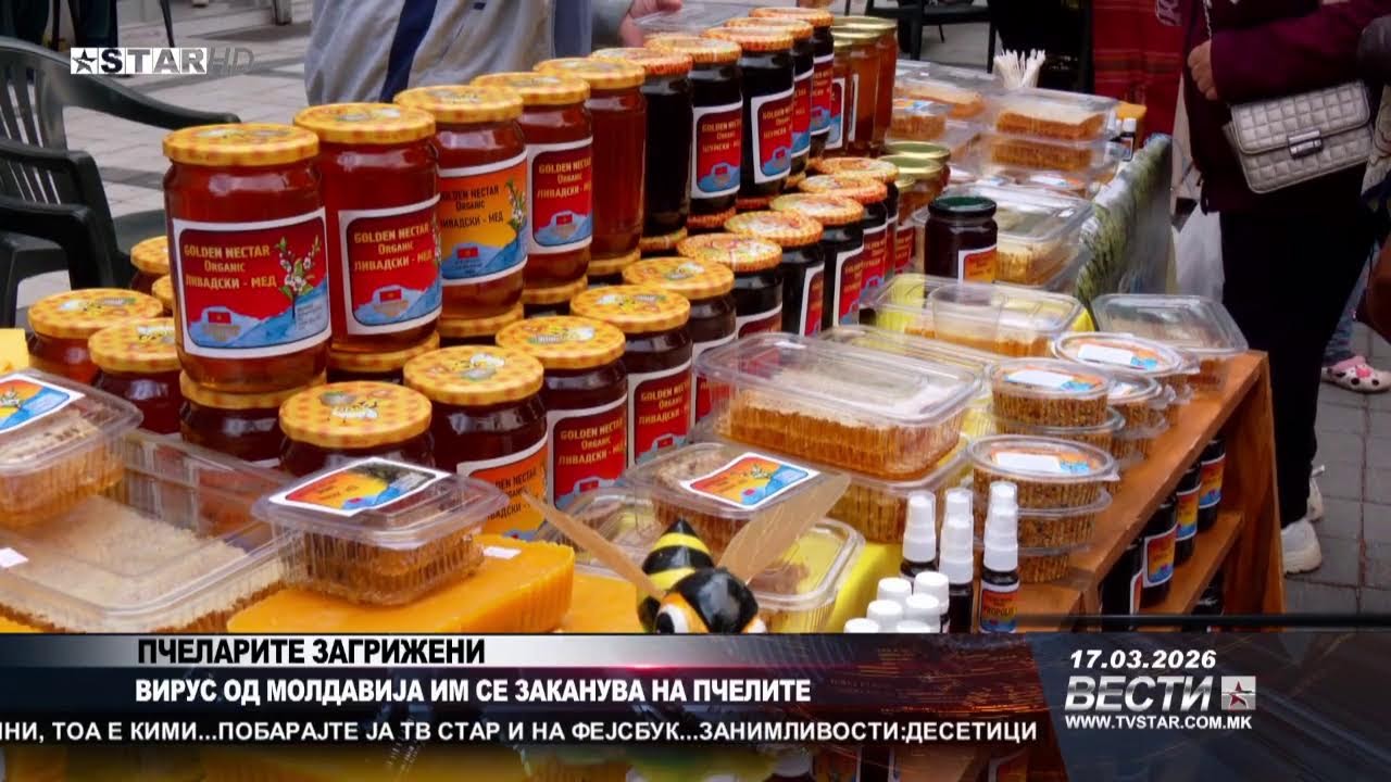 Вести во Живо на Тв Стар 17.03.2026