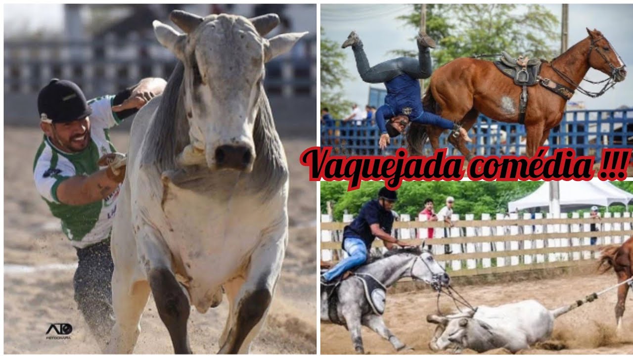 Momentos engraçados da vaquejada