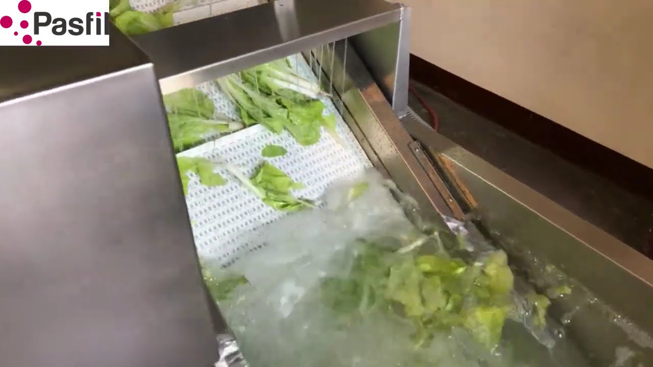 TW3 Konvey&ouml;rl&uuml; Sebze Yıkama Makinesi - Conveyor Vegetable Washing Machine
