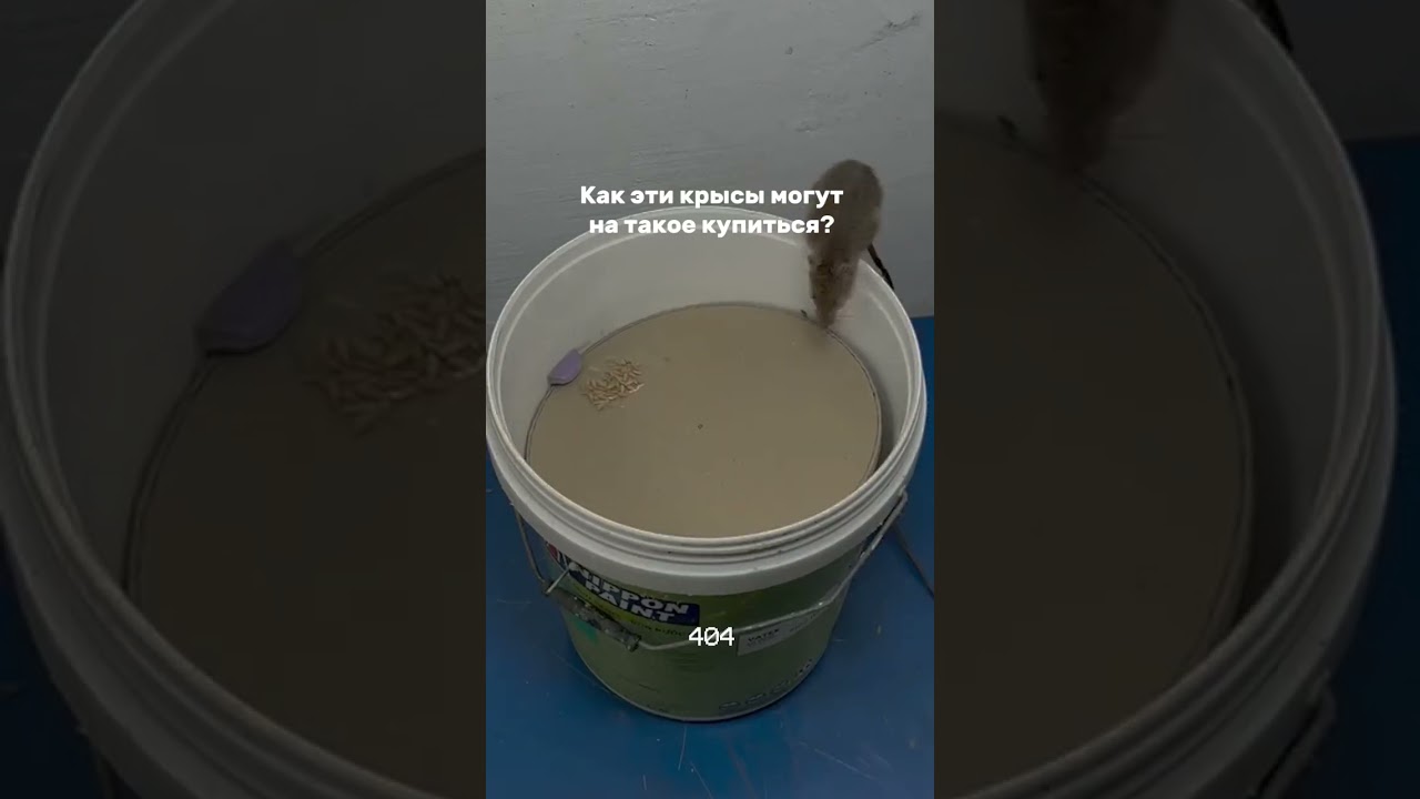 #спорт #психология #404