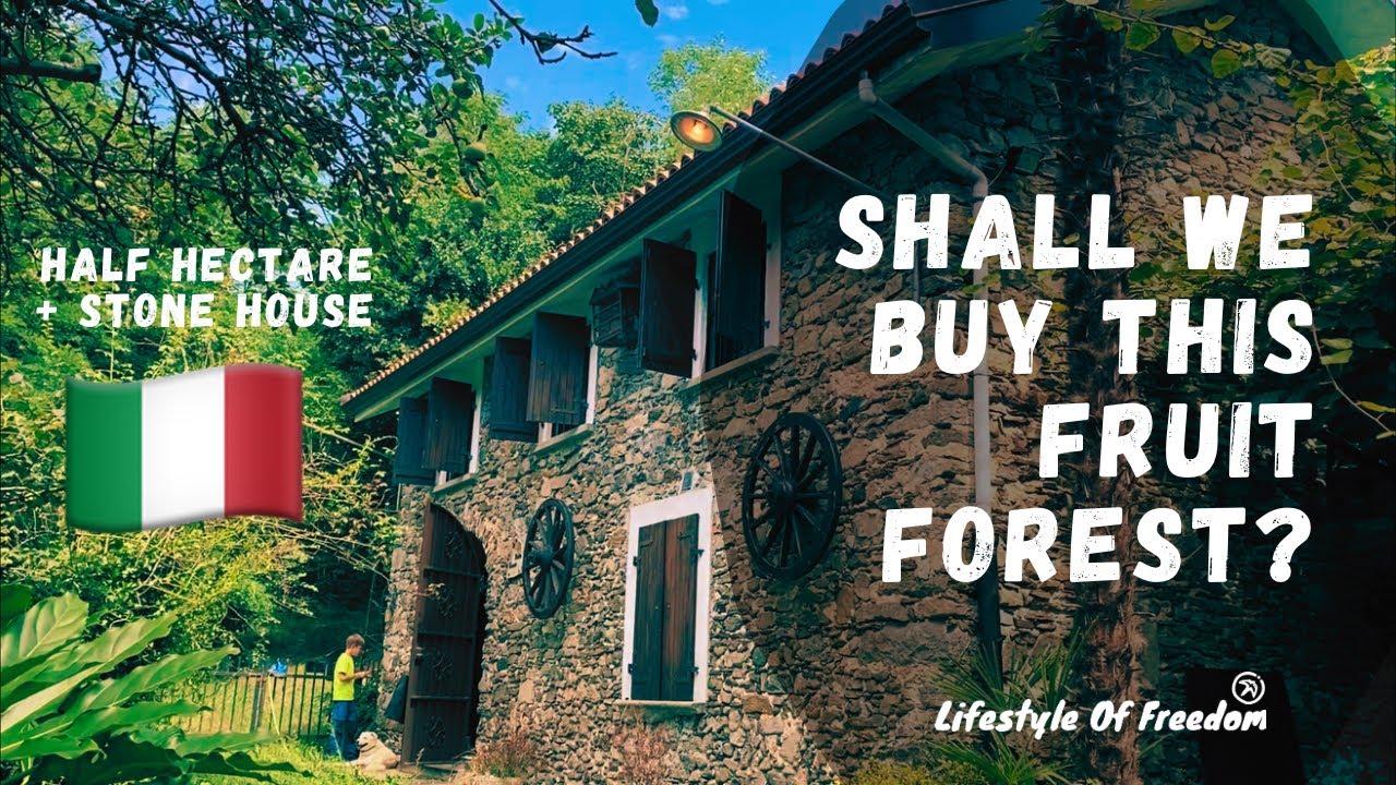 We found Half Hectare Fruit Forest to Live Off Grid!