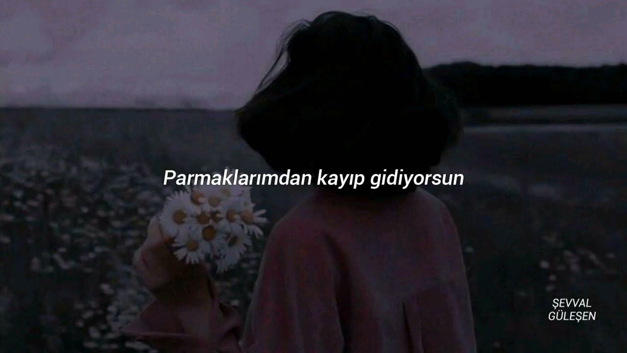 Shawn Mendes - When You're Gone (Türkçe Çeviri)