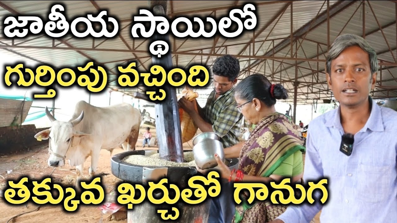 90 వేలలోపు గానుగ తయారీ చేయవచ్చు|Bull Driven Oil Business|mallesh adla|