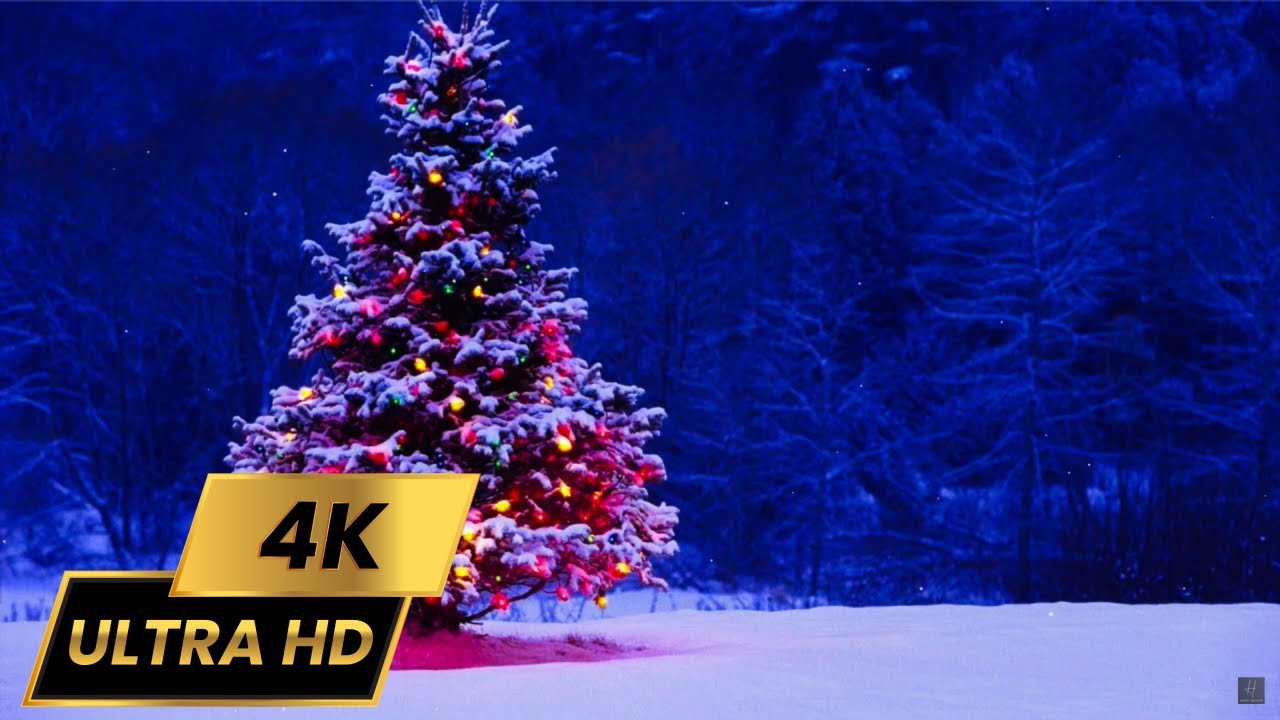 Christmas Tree Screensaver in 4K 🎄❄️ | 2 Hours Cozy Winter Ambience (No Sound)