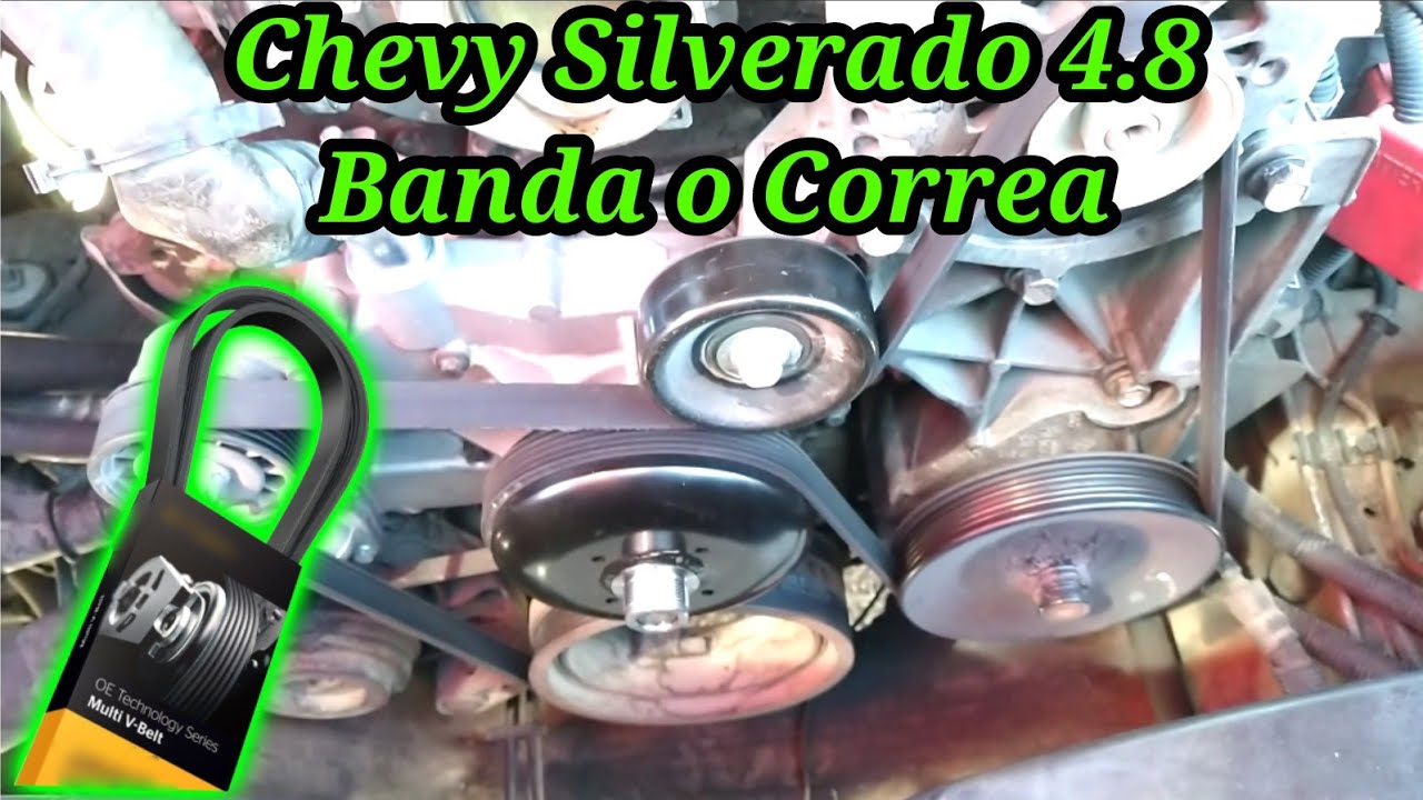 2006 Chevy Silverado 4.8 Cómo cambiar la banda o correa ( how to change the serpentine belt )