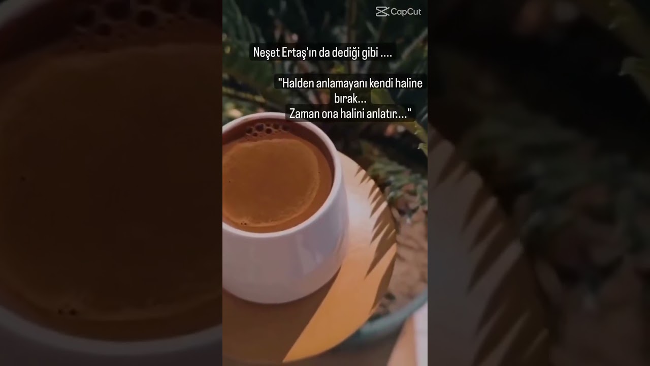 Aynen &ouml;yledir  cesarettin yokmudur yolculuğa