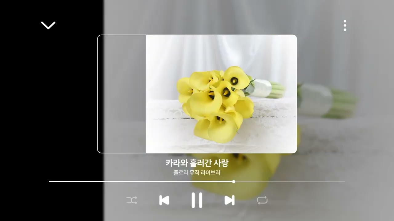 곡- 카라와 흘러간 사랑~ | 
