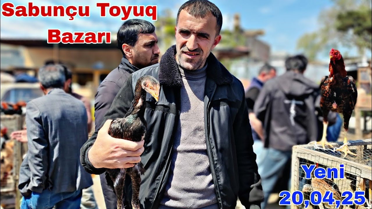 Sabunçu Toyuq Bazarı 20 aprel 2025