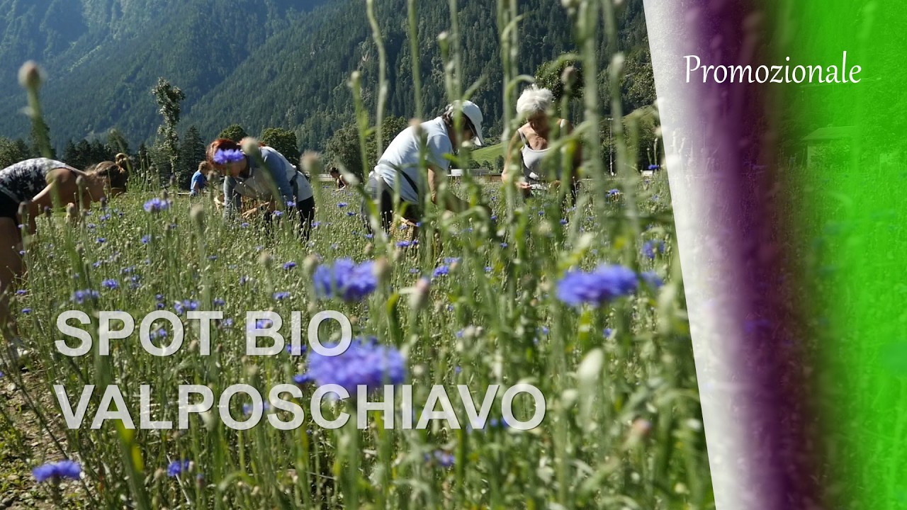 Spot bio Valposchiavo