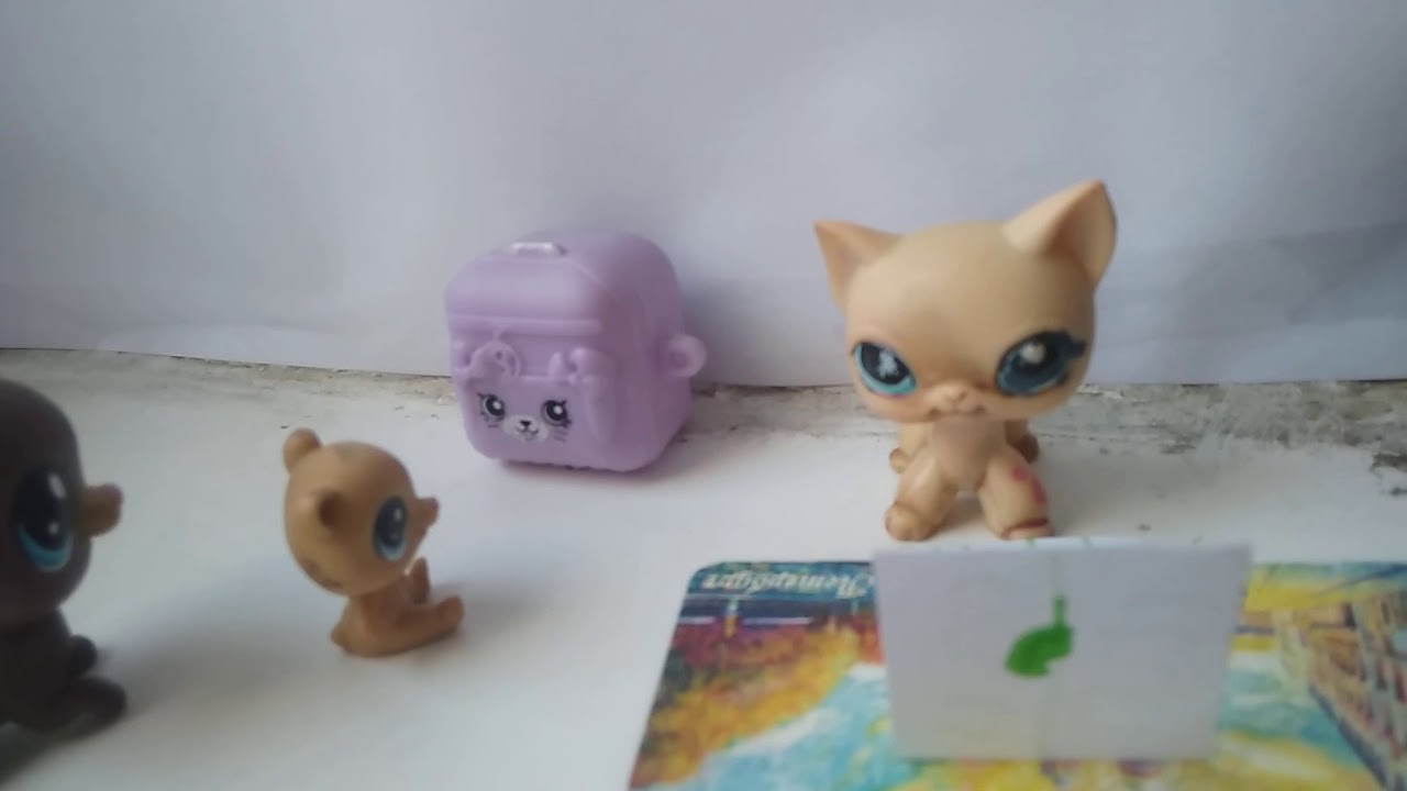 LPS в магазине / Princess LPS
