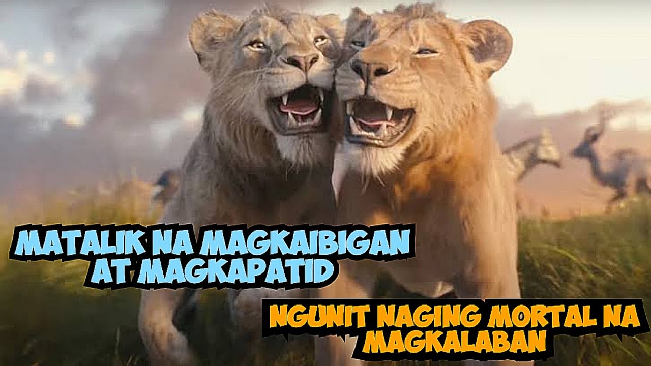 NAGING MORTAL NA MAGKALABAN ANG DATING KAIBIGAN | MUFASA TAGALOG RECAP 2024