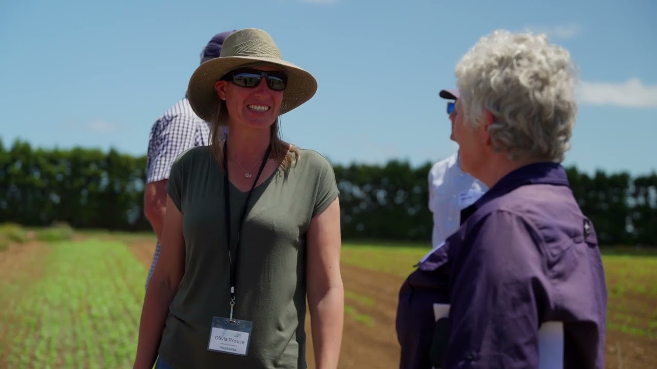 Biodiverse planting on vegetable farms