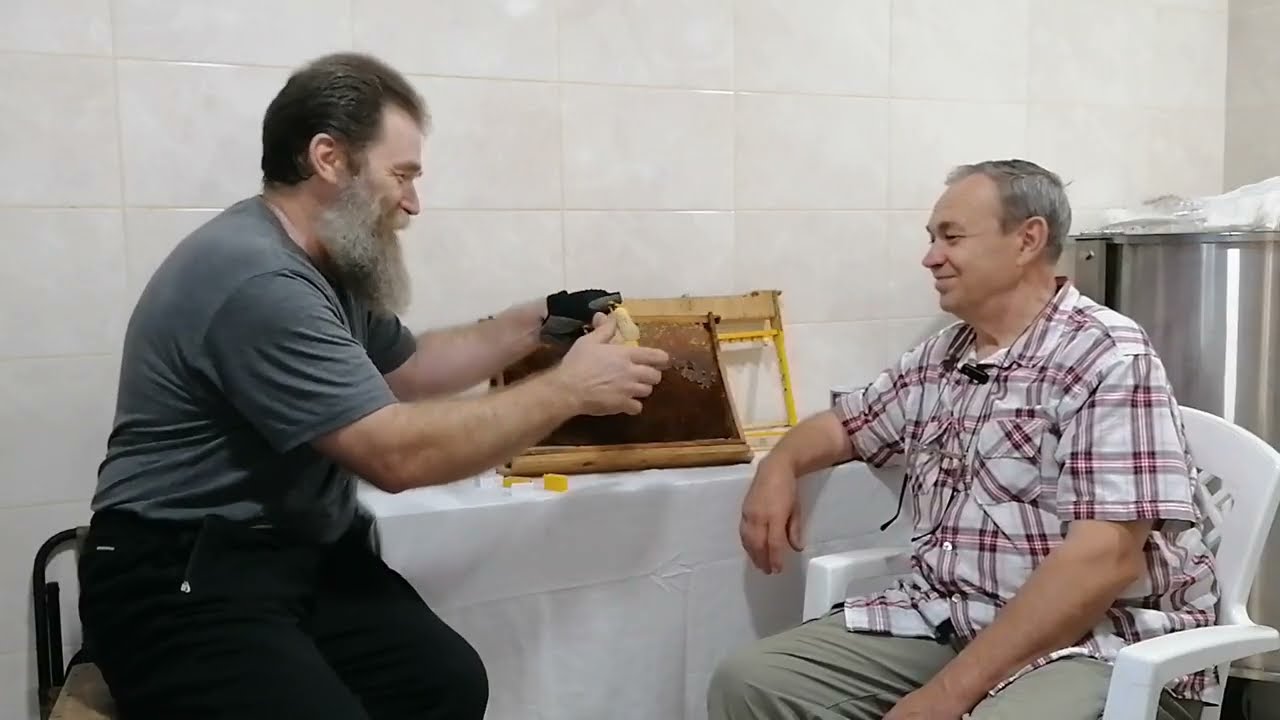 Почему гибнут матки. Своя точка зрения.